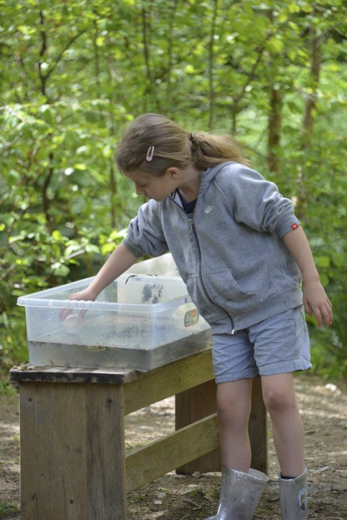pond dipping at Forest Holidays