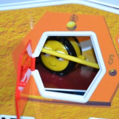 The Hive and Adopt a Hive