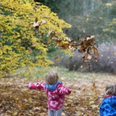 Stickman fun at Westonbirt Aboretum