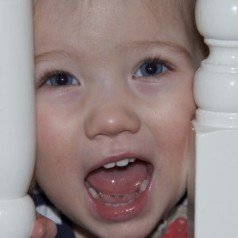 52 Photo’s – 4th March