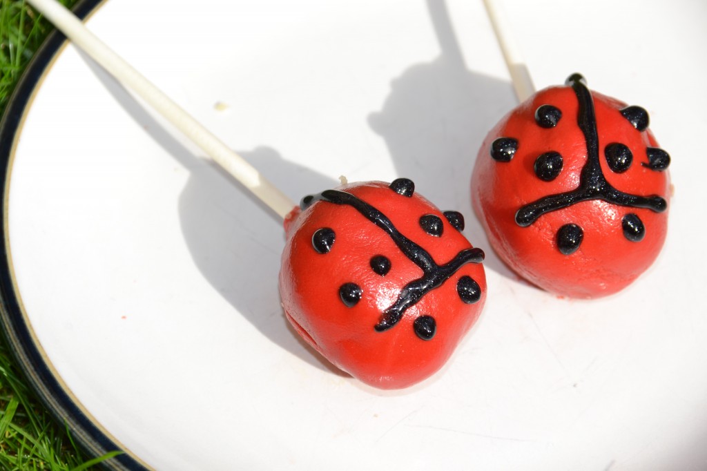 Ladybird birthday party