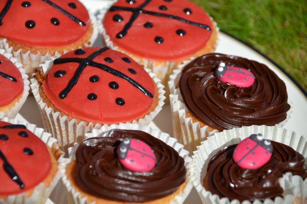 ladybird cupcakes