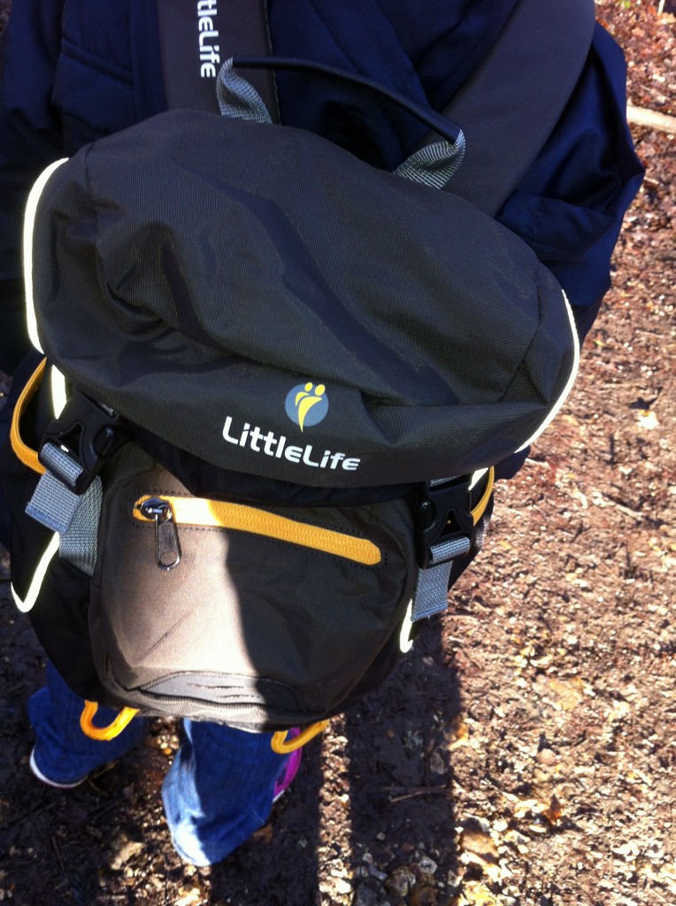 LittleLife