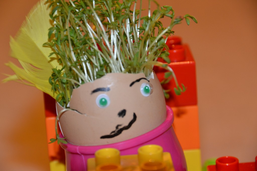 Cress in an egg