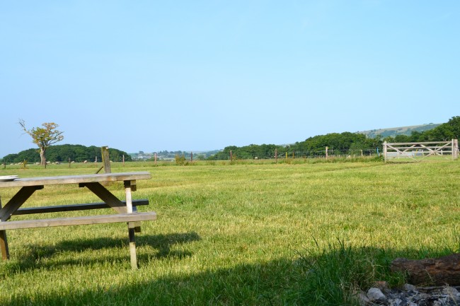 Feather Down Farm