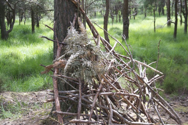 Moors Valley Den building