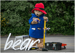 Paddington Bear