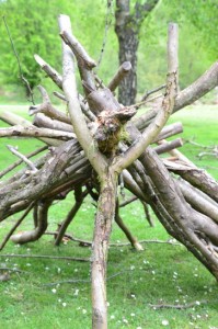 den with twigs