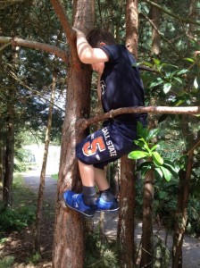 Boy climbing tree