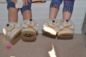 dog slippers