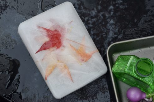 Autumn themed ice for toddler play