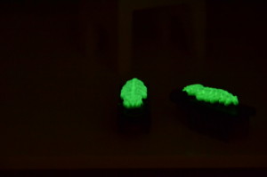 glow in the dark hex bugs