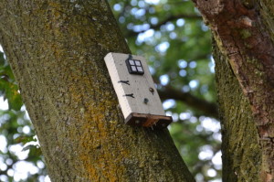 Fairy door