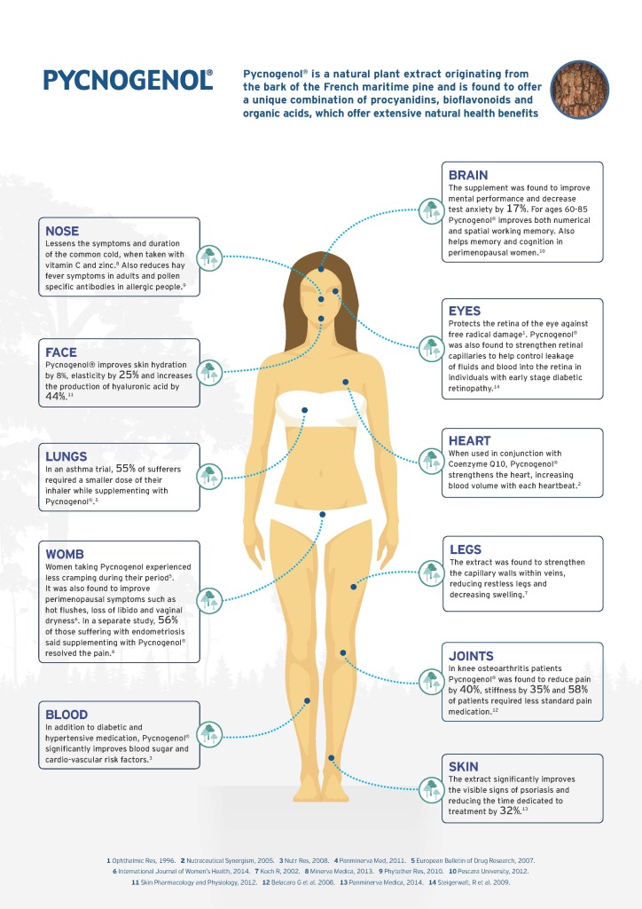 Pycnogenol infographic FINAL