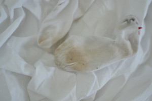 Vanish, dirty socks