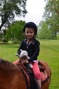 Pony rides Hatchlands Park
