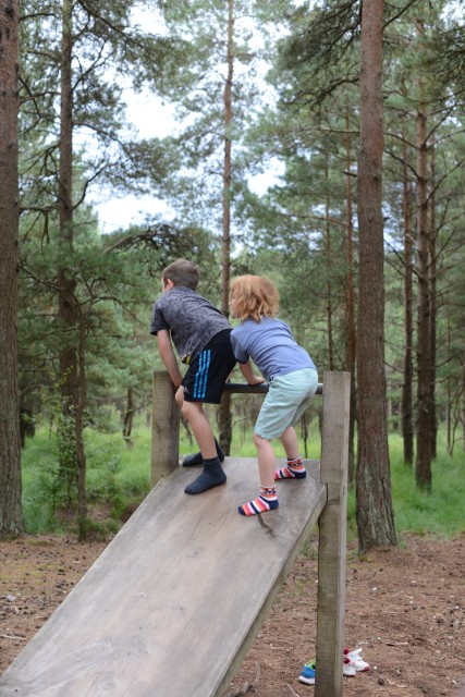 fitness trail - moors valley