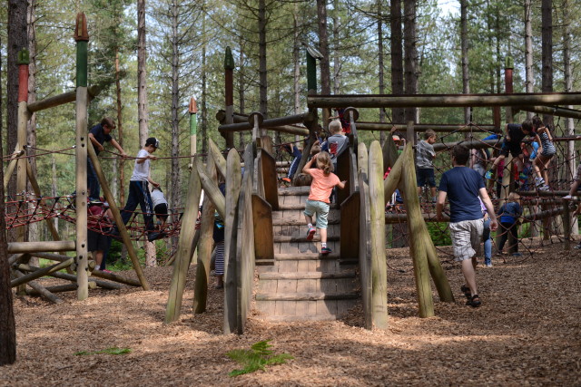 Moors Valley Play Trail