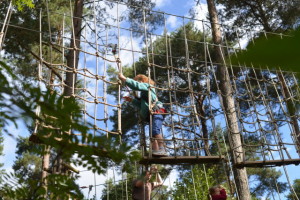GoApe Alice Holt
