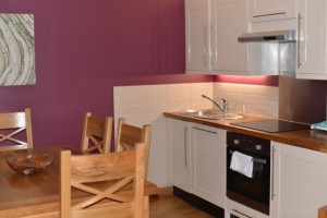 Silver birch Cabin