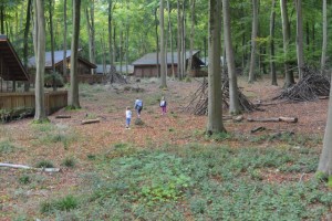 Forest Holidays
