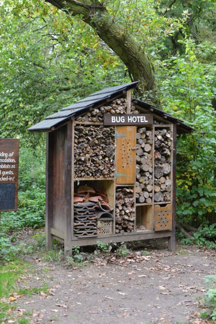 Giant bug hotel in the forest