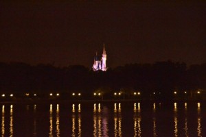 Disney Castle from the Grand Floridian