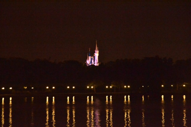 Disney Castle from the Grand Floridian