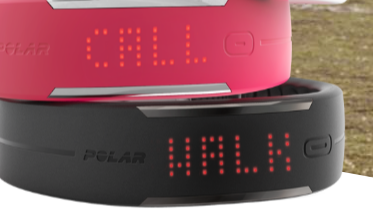 Polar loop 2