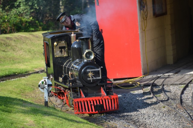 Steam engines at Moors Valley