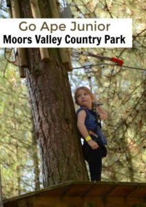 Go Ape Junior Moors Valley