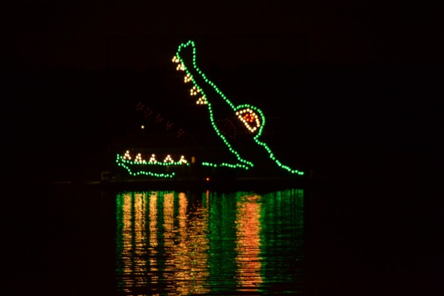 Disneys Electrical Water Parade