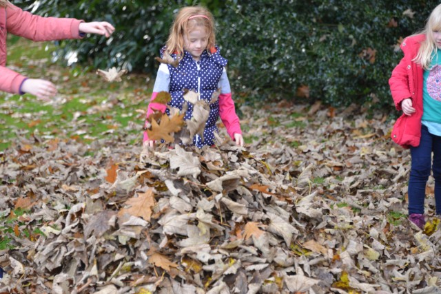 autumn leaf fun