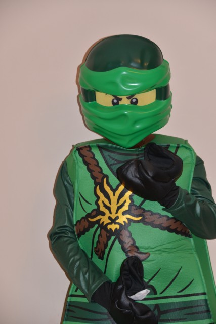 Ninjago fancy dress