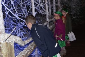 Reindeer Lapland UK