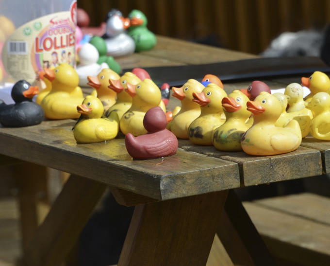 duck race