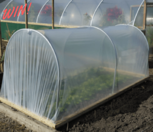 poly tunnel