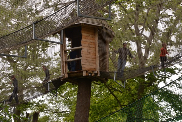 Treehouse nestled in the trees at Nets Kingdom