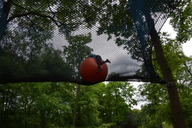Ball and nets nestled in the trees at Nets Kingdom