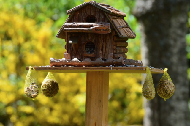 Bird house image