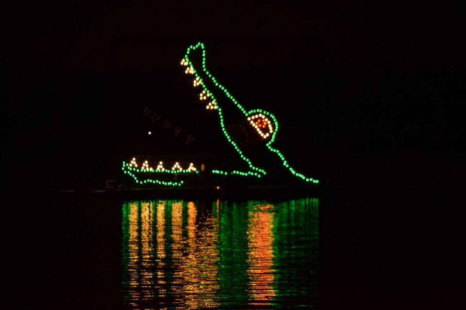 Disney's Electrical Water Parade