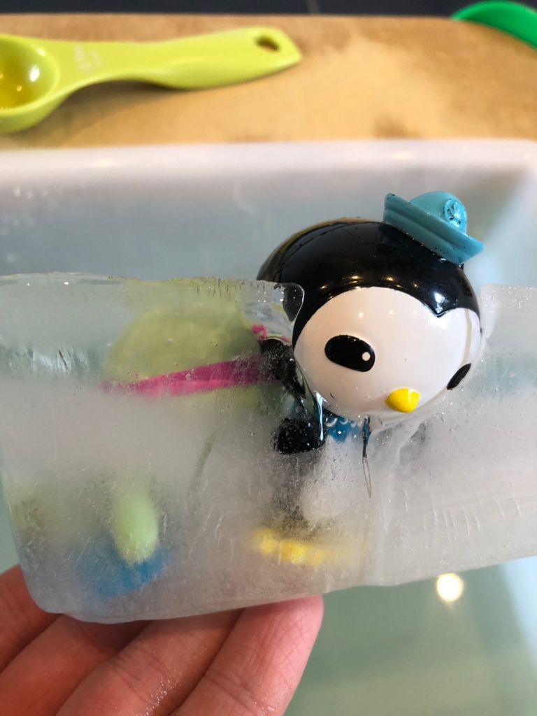 Octonauts Icy Rescue