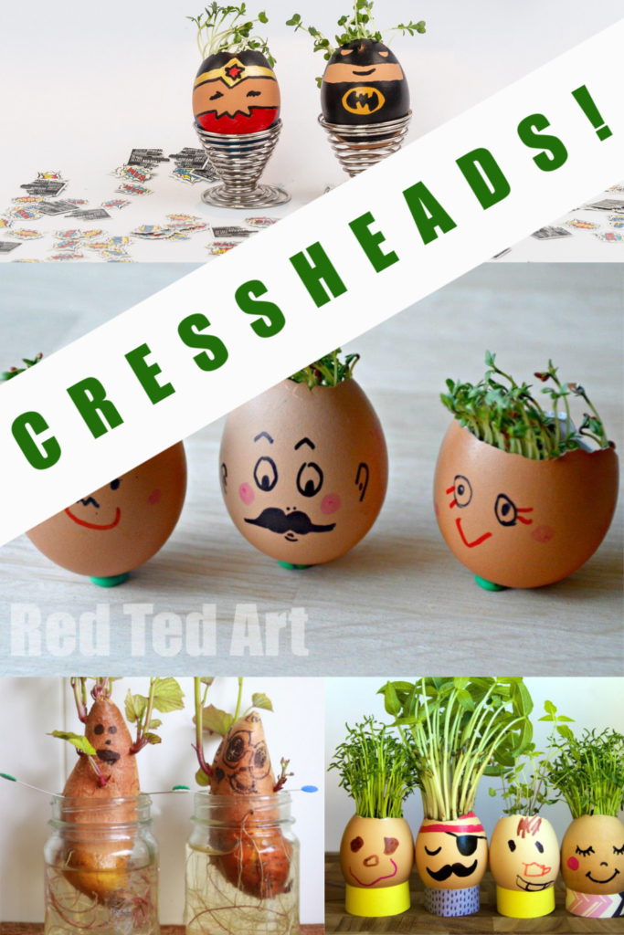 Easy cress heads for kids - grow cress with no soil! #scienceforkids #cressheads #plantscience #springscience