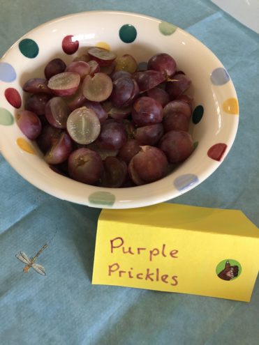 Gruffalo Party food - purple prickles