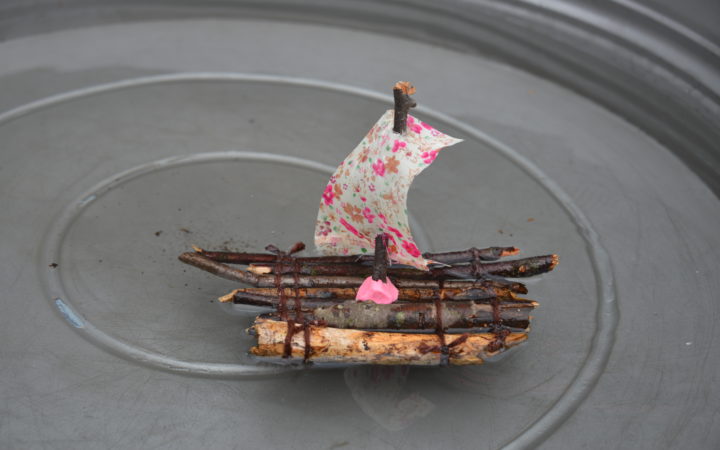 Twig Boat