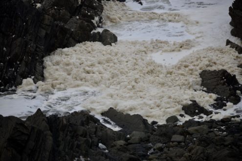 sea foam