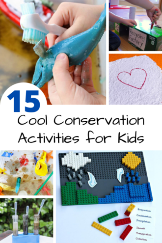 cool conservation activities