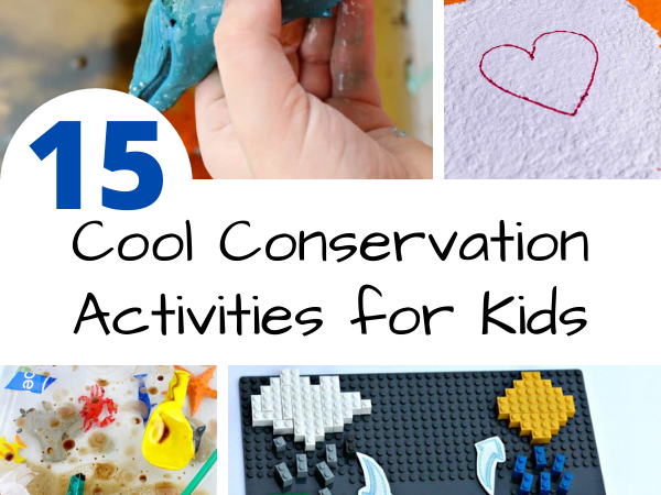 cool conservation activities