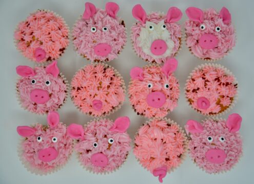 Piggy cupcakes