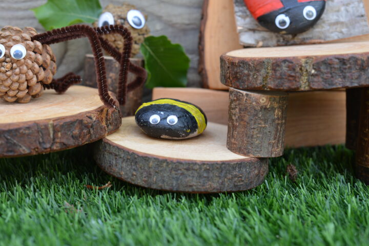 Bug Rocks Kids Easy Bug Rocks